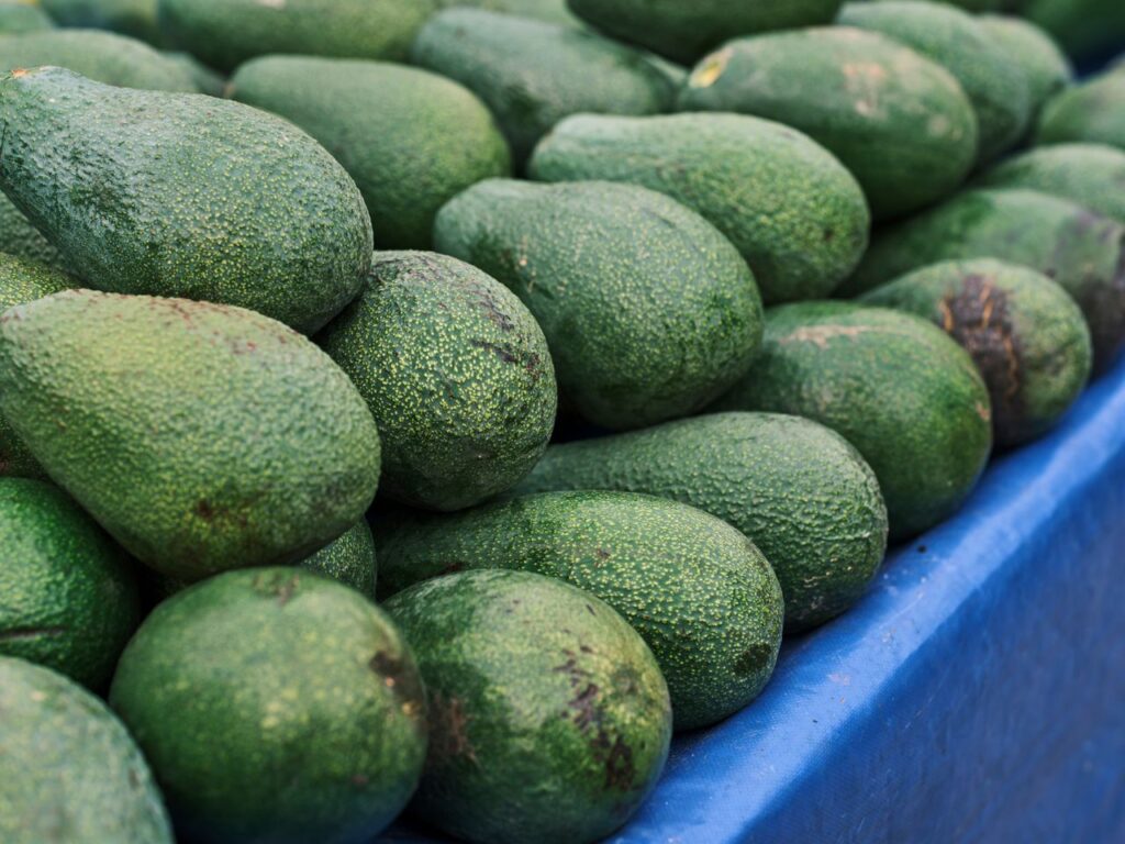 Abundant fresh green avocados arranged on a blue counter at a local market.