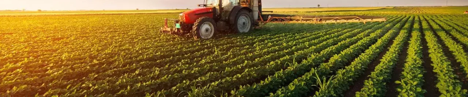 agro jpg