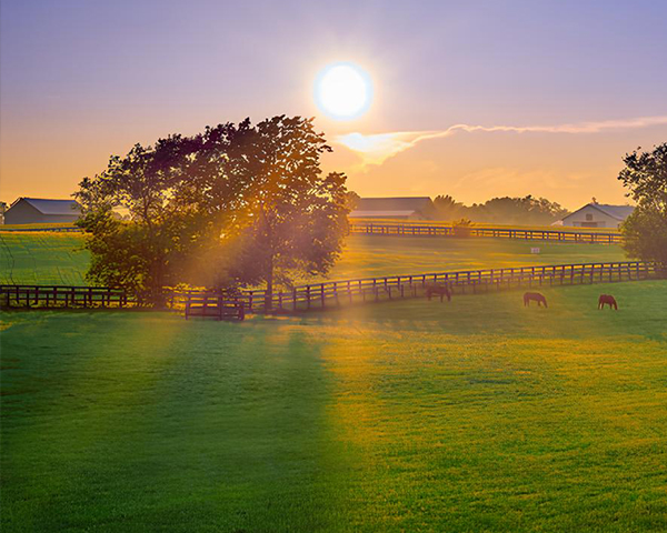 Fazenda